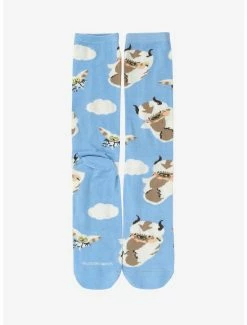 Wholesale ๐ฅฐ Avatar: The Last Airbender Appa & Momo Crew ๐งฆ Socks - BoxLunch Exclusive โค๏ธ