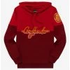 Hot Sale 👏 Harry Potter Gryffindor Crest Panel Hoodie - BoxLunch Exclusive 🥰